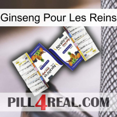 Ginseng For Kidney 12